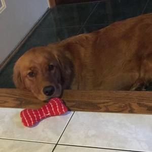 Meet your Posher, Roxane